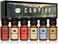 P&amp;J Trading Camping Set of 6 Premium Grade Fragrance Oils - Campfire, Smores, Dirt, Fresh Cut Wood, Night Air, Cedar