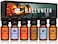 P&amp;J Trading Halloween Set of 6 Premium Grade Fragrance Oils - Autumn Wreath, Pumpkin Pie, Candy Corn, Marshmallow, Night Air, Caramel Corn