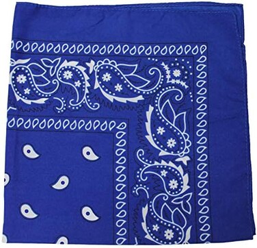 Balec Paisley 100% Cotton Double Sided Bandana - 22 inches