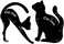 TailaiMei 2 Pcs Cat Eyeliner Stencils, Matte Pvc Material Smoky Eyeshadow Applicators Template Plate, Shape Eye Liner