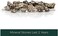 Santevia Mineral Stones Replacement by   Designed for 's Gravity Water System   Adds Healthy Minerals and Makes Water Alkaline   Makes Water Taste Delicious