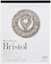 Strathmore BRSTL 500 2PLYPLT 11X14SB 15S
