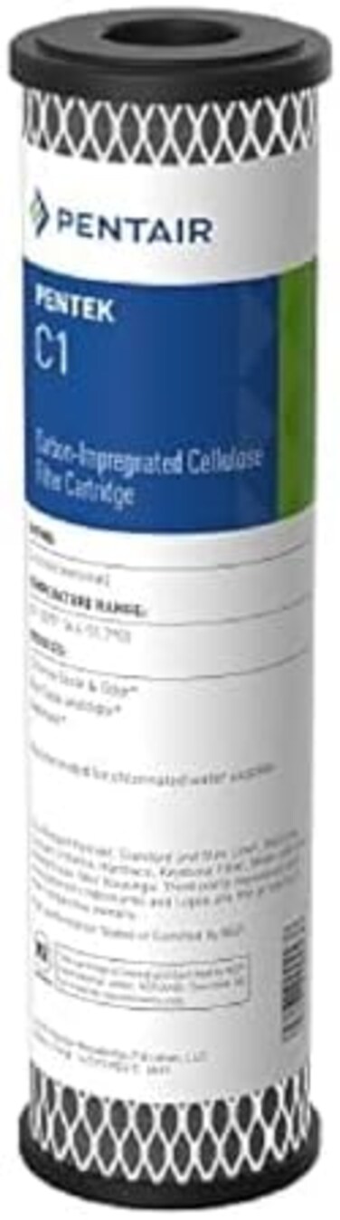 Pentek C1 Carbon Filter Cartridge, 9-3/4" x 2-1/2", 5 Micron