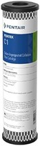Pentek C1 Carbon Filter Cartridge, 9-3/4" x 2-1/2", 5 Micron