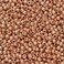 Toho TR-11-PF551/c Seed Beads, Permanent Finish Galvanized Rose Gold