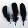 Sowder Natural Goose Feathers Clothing Accessories Pack of 100