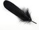 Sowder Natural Goose Feathers Clothing Accessories Pack of 100