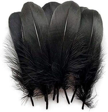 Sowder Natural Goose Feathers Clothing Accessories Pack of 100