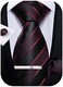 DiBanGu mens Tie Fashion