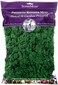 Super Moss SuperMoss Reindeer Moss Preserved