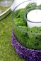 Super Moss SuperMoss Reindeer Moss Preserved