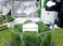 Super Moss SuperMoss Reindeer Moss Preserved