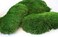 Super Moss Mood Preserved Natural Green 1200cuin