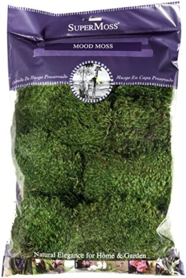 Super Moss Mood Preserved Natural Green 1200cuin