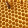 Stakich Yellow Beeswax Block - Natural, Triple Filtered - 1 Pound, Honey Scent