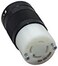 Reliance Controls L1430C 30-Amp L14-30 Female Connector for Generator Cords,Black