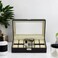TimelyBuys 12 Piece Chocolate Brown Leatherette Men's Watch Display Organizer Storage Case for Watches