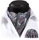 HISDERN Men's Ascot Paisley Floral Jacquard Woven Gift Cravat Tie and Pocket Square Set
