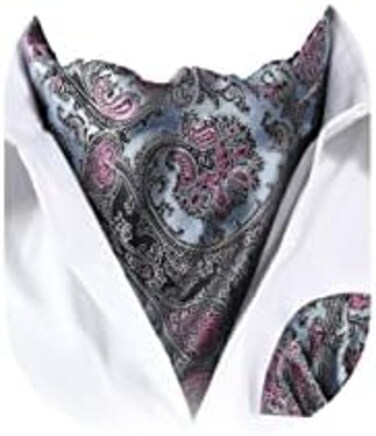 HISDERN Men's Ascot Paisley Floral Jacquard Woven Gift Cravat Tie and Pocket Square Set