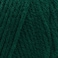 RED HEART Super Saver Yarn, Hunter Green