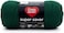 RED HEART Super Saver Yarn, Hunter Green