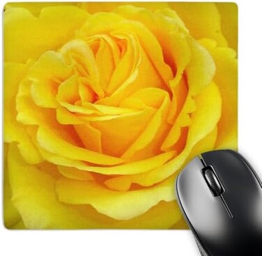 3dRose LLC 8 x 8 x 0.25 Inches Mouse Pad, Rose Yellow (mp_21383_1)
