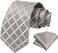 HISDERN Men's Wedding Tie and Handkerchief Houndstooth Check Plaid Tie Party Business Formal Necktie &amp; Pocket Square Set&hellip;