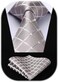 HISDERN Men's Wedding Tie and Handkerchief Houndstooth Check Plaid Tie Party Business Formal Necktie &amp; Pocket Square Set&hellip;