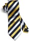 HISDERN Men's Wedding Tie and Handkerchief Houndstooth Check Plaid Tie Party Business Formal Necktie &amp; Pocket Square Set&hellip;