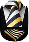HISDERN Men's Wedding Tie and Handkerchief Houndstooth Check Plaid Tie Party Business Formal Necktie &amp; Pocket Square Set&hellip;