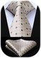HISDERN Men's Wedding Tie and Handkerchief Houndstooth Check Plaid Tie Party Business Formal Necktie &amp; Pocket Square Set&hellip;