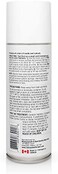 Moneysworth &amp; Best Suede &amp; Nubuck Protector, 5.6-Ounce