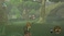 Nintendo The Legend of Zelda: Breath of the Wild for Nintendo Wii U