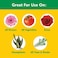 Miracle-Gro Water Soluble All Purpose Plant Food, 3 lb
