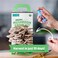Back to the Roots Organic Mushroom Growing Kit