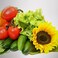 K Tool International AeroGarden Grow Anything Seed Pod Kit (6-Pod)