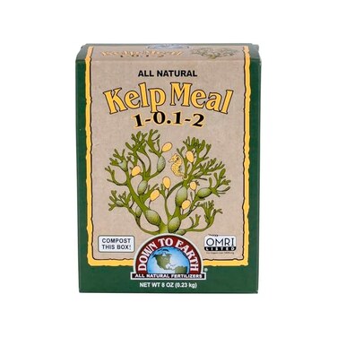 Down To Earth 17813 Kelp Meal Fertilizer Mix, 1/2 lb