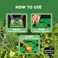 Seeding Square Seed and Seedling Spacer Tool for Bigger Harvests, Organized Plants &amp; Fewer Weeds &ndash; Color-Coded Gardening Template with Magnetic Dibber, Ruler &amp; Planting Guide