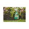 Ortho 0438580 Grass B Gon Garden Grass Killer Ready-To-Use, 24-Ounce