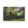 Ortho 0438580 Grass B Gon Garden Grass Killer Ready-To-Use, 24-Ounce