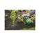 Ortho 0438580 Grass B Gon Garden Grass Killer Ready-To-Use, 24-Ounce