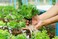 Danner Supreme Hydro- Mag, Recirculating Water &amp; Air Pumps with Venturi, 1200GPH - Manufacturing, Inc. - #40132