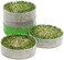 KITCHEN CROP VKP1200 Seed Sprouter,   6" Diameter Trays, 1 Oz Alfalfa Included