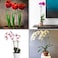 HiGift 5 Pack 18 inch Plant Support Stakes, Garden Single Stem Support Stake Amaryllis Plant Cage Support Rings with 10 pcs Plant Clips for Tomatoes Orchid Lily Peony Rose Flower Stem, 45 cm Long