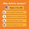 Gotcha Sprayer 4Most Innovations GSP0205 Gotcha Sprayer Pro Aerosol Spray Can Extension Pole Adapter