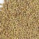 Handy Pantry Organic Alfalfa Seeds for Sprouting 1 lb - Seed for Alfalfa Sprouts, Alfalfa Seeds Microgreens Sprouting Seeds and Sprout Seeds