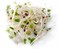 COUNTRY CREEK ACRES GROWING IS IN OUR ROOTS Non-GMO Broccoli Seeds for Sprouting Microgreens (14oz)
