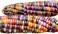 Harley Seeds 100+ Glass Gem Corn Non-GMO Popcorn Delicious Jewel-Toned, Glass-Like Kernels, Grown in USA. Rare! Ornamental and Edible!