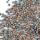 Handy Pantry Non-GMO Organic Broccoli Sprouting Seeds with Sulforaphane (1lbs Resealable Bag)