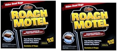 بلاك فلاغ مصيدة حشرات من روتش موتيل (عبوة من قطعتين)